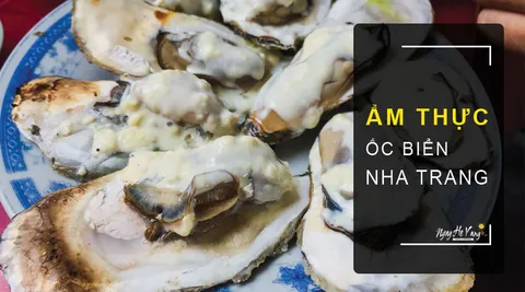 Ốc Biển Nha Trang – Hải Sản Quốc Dân, Mê Mẫn Quên Lối Về