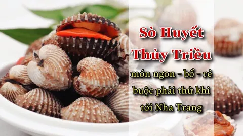 [Ẩm Thực Nha Trang] – Sò Huyết, đặc sản đậm đà của phố biển