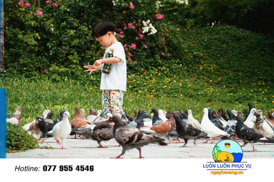 Vườn Thú Vinpearl Land Nha Trang