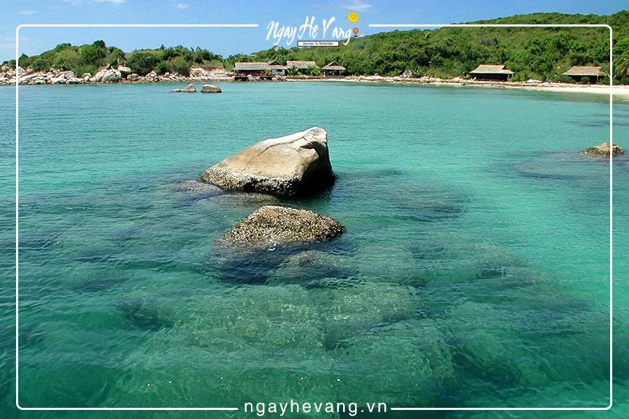 Đảo cá voi