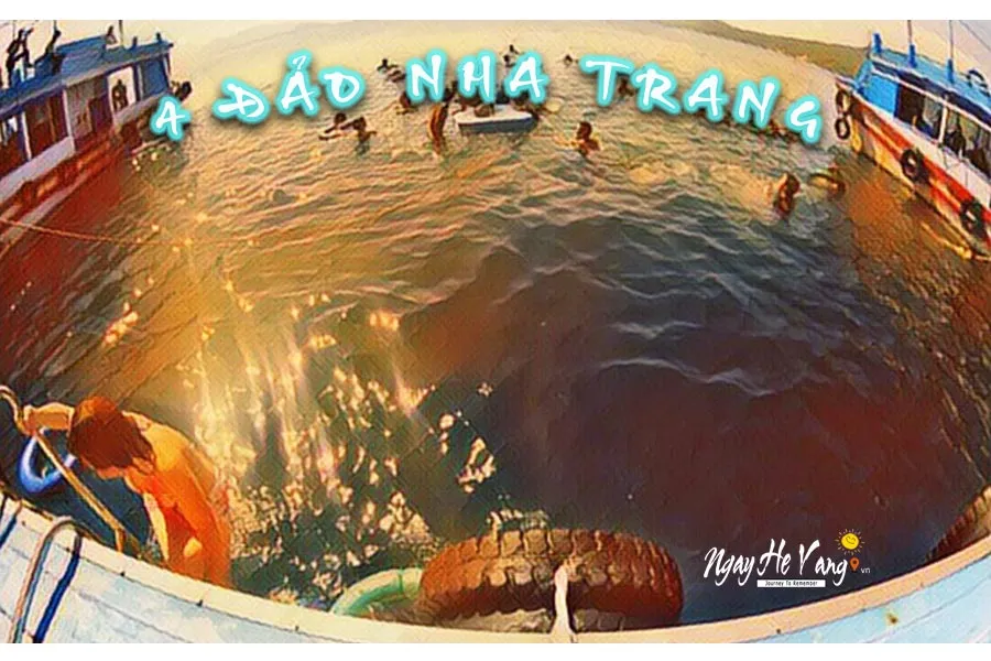 Trải nghiệm tour 4 đảo ở Nha Trang