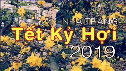 Nha Trang Ngày Tết 2019 ✪ Travel Vlog