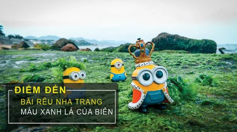 Bãi Rêu Ở Nha Trang