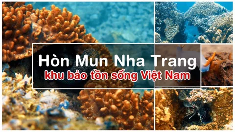 Hòn Mun Nha Trang – Khu bảo tồn sống đẹp nhất Việt Nam
