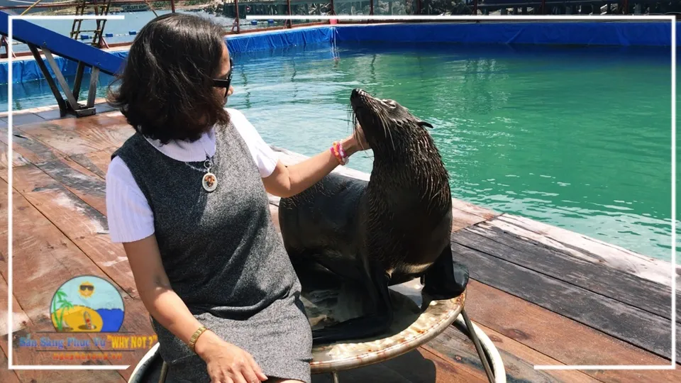 Hồ Cá Trí Nguyên Nha Trang