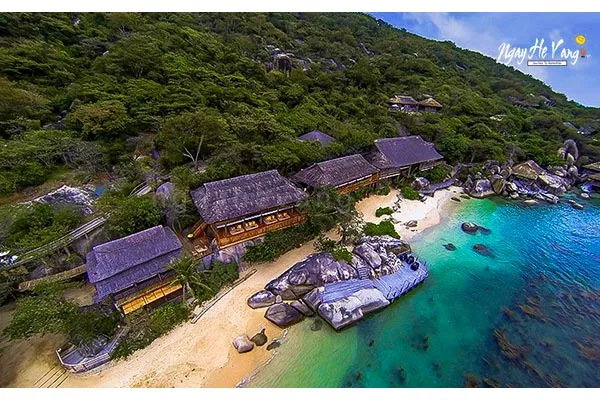 Vinh Ninh Vân