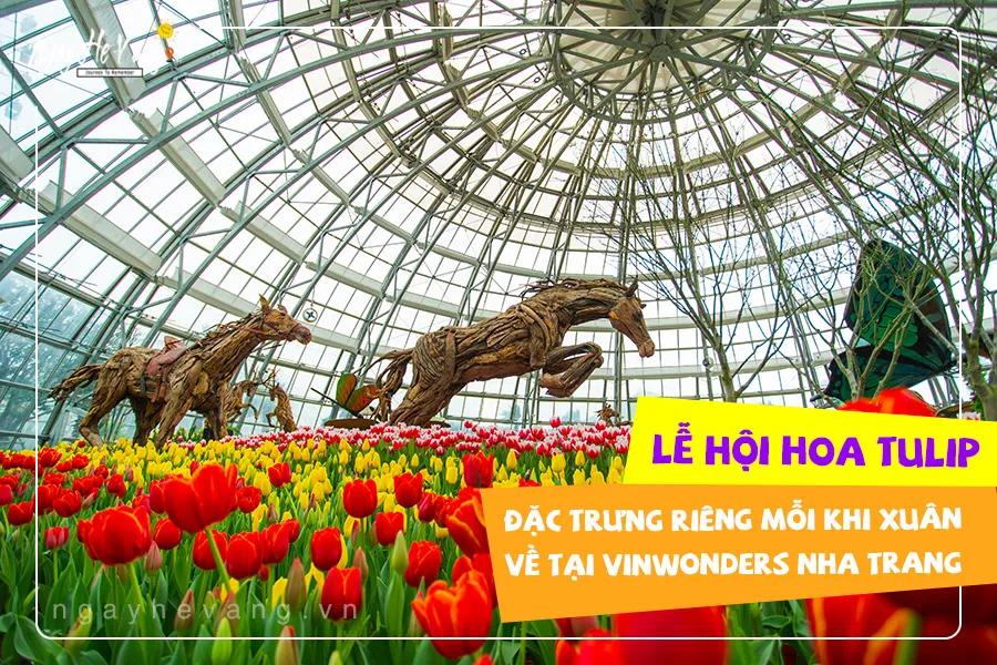Lễ Hội Hoa Tulip Vinwonders Nha Trang