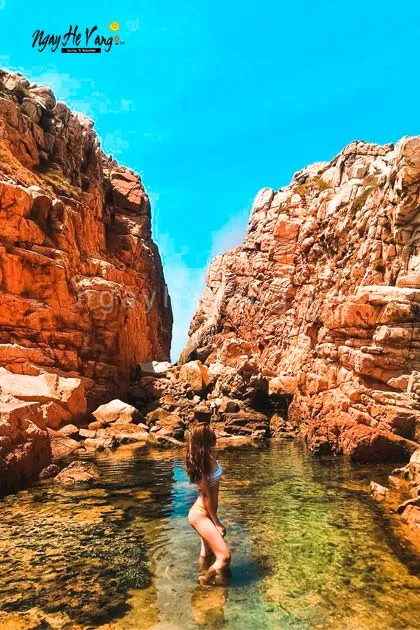 Tour Đảo Yến Hòn Nội Nha Trang