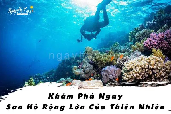 Tour Vịnh Vân Phong 1 Ngày