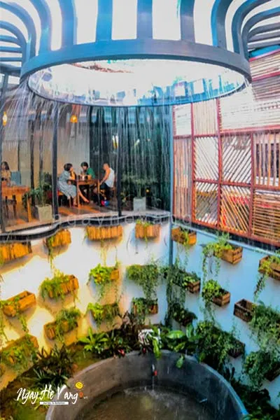 Quán Cafe Rain Forest Nha Trang