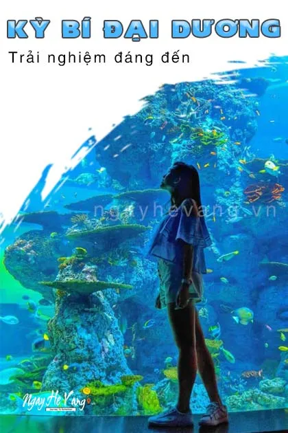 Thủy Cung Vinpearl Land Nha Trang