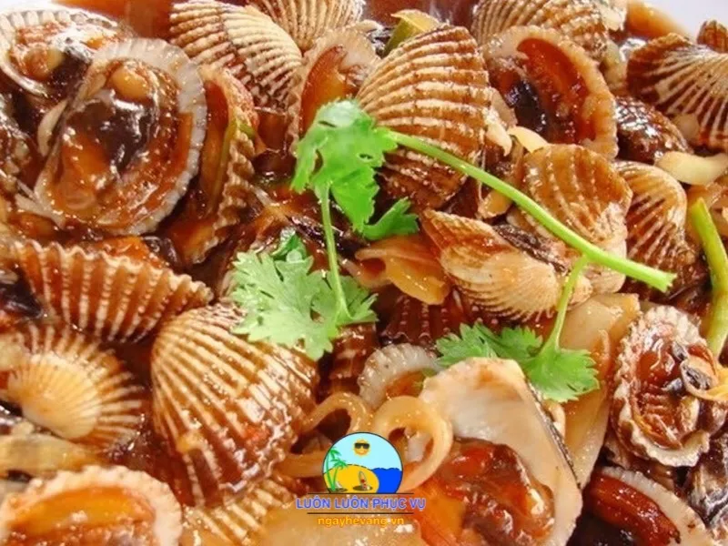 Sò Huyết Ngon Nha Trang
