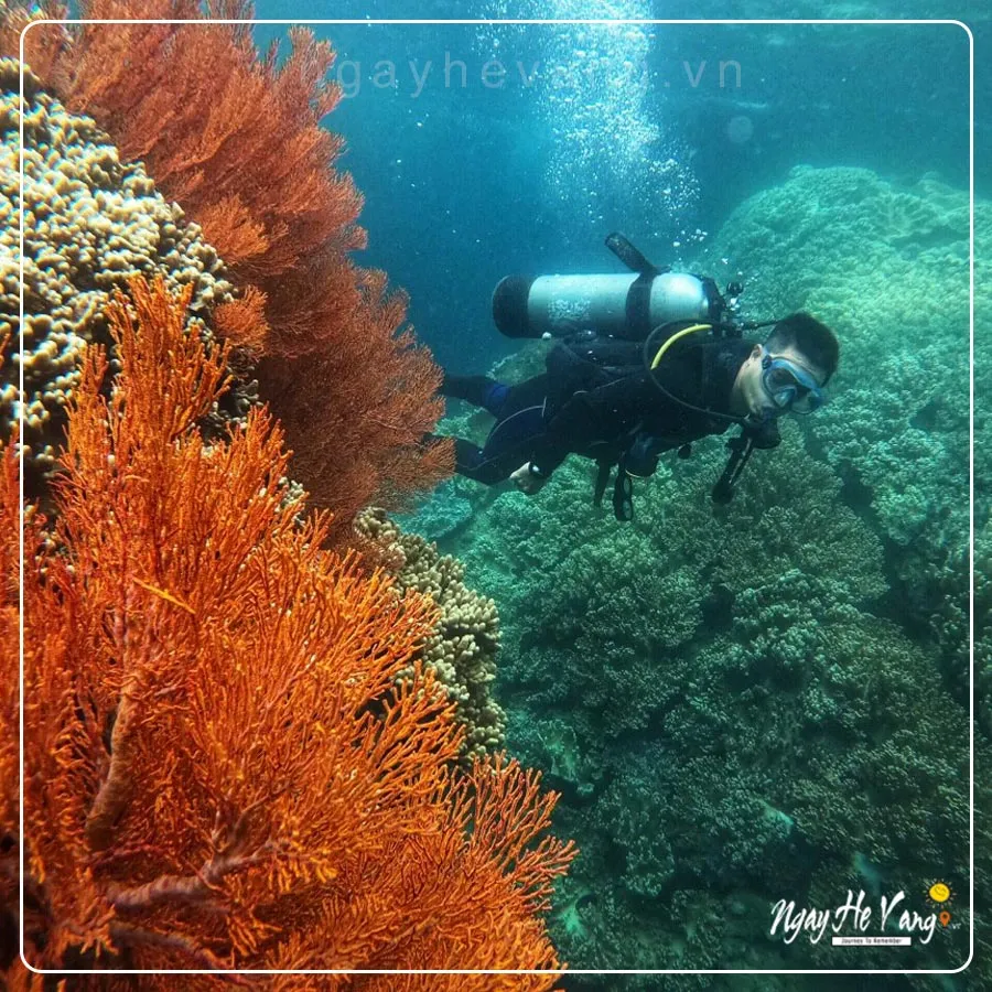 Những địa điểm du lịch ở Nha Trang