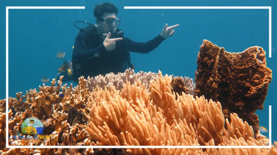 Tour Hòn Mun Hòn Tằm Nha Trang