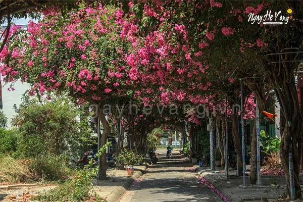 Địa điểm Check In Nha Trang 