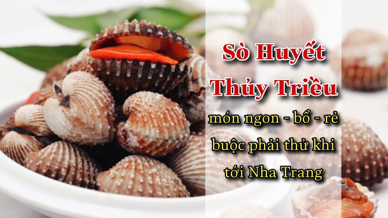 Sò Huyết Ngon Nha Trang
